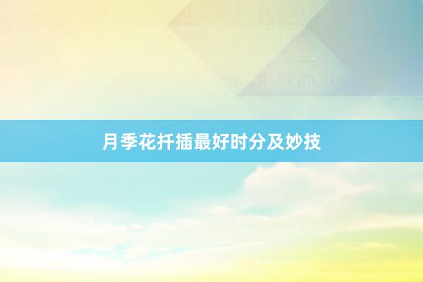 月季花扦插最好时分及妙技
