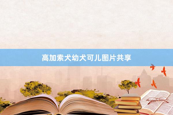 高加索犬幼犬可儿图片共享